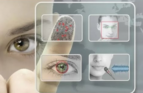 Законопроект о расширении использования биометрии примут к концу 2020 года - Аксаков